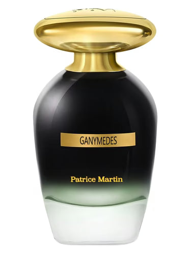 COSMIC VOYAGE Impression of Ganymedes Patrice Martin