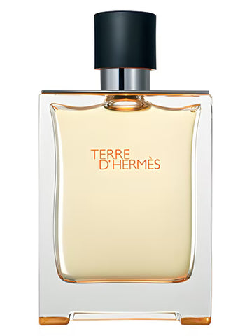 Terre de Noble Impression of Terre d'Hermès
