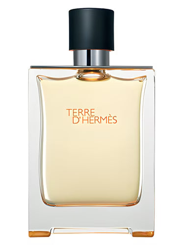 Terre de Noble Impression of Terre d'Hermès